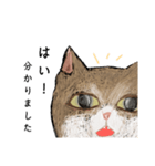 絵本に出てきそうな猫2（個別スタンプ：5）