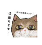 絵本に出てきそうな猫2（個別スタンプ：6）