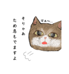 絵本に出てきそうな猫2（個別スタンプ：7）