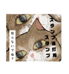 絵本に出てきそうな猫2（個別スタンプ：11）