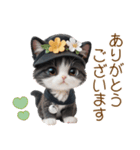 可愛いハチワレ猫 ずっと使える日常 敬語（個別スタンプ：4）