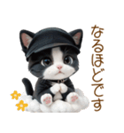 可愛いハチワレ猫 ずっと使える日常 敬語（個別スタンプ：16）