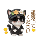 可愛いハチワレ猫 ずっと使える日常 敬語（個別スタンプ：19）