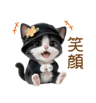 可愛いハチワレ猫 ずっと使える日常 敬語（個別スタンプ：25）