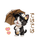 可愛いハチワレ猫 ずっと使える日常 敬語（個別スタンプ：31）