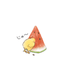 猛暑♢パンダとコアリクイ（個別スタンプ：8）