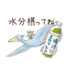 猛暑♢パンダとコアリクイ（個別スタンプ：14）