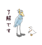 猛暑♢パンダとコアリクイ（個別スタンプ：25）