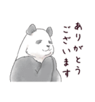 猛暑♢パンダとコアリクイ（個別スタンプ：27）