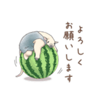 猛暑♢パンダとコアリクイ（個別スタンプ：28）