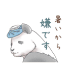 猛暑♢パンダとコアリクイ（個別スタンプ：33）