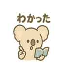 やさしさコアラの毎日スタンプ（個別スタンプ：21）