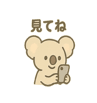 やさしさコアラの毎日スタンプ（個別スタンプ：31）