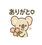やさしさコアラの毎日スタンプ（個別スタンプ：37）