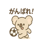 やさしさコアラの毎日スタンプ（個別スタンプ：38）