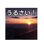 綺麗な夕焼け空（個別スタンプ：29）