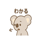 ほのぼのコアラの日常スタンプ（個別スタンプ：28）