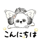 B＆W シーズー犬 2025 「天使ちゃん」（個別スタンプ：2）