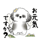 B＆W シーズー犬 2025 「天使ちゃん」（個別スタンプ：5）