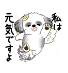 B＆W シーズー犬 2025 「天使ちゃん」（個別スタンプ：6）