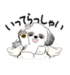 B＆W シーズー犬 2025 「天使ちゃん」（個別スタンプ：9）