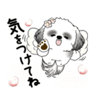 B＆W シーズー犬 2025 「天使ちゃん」（個別スタンプ：10）
