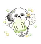 B＆W シーズー犬 2025 「天使ちゃん」（個別スタンプ：15）