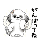 B＆W シーズー犬 2025 「天使ちゃん」（個別スタンプ：17）