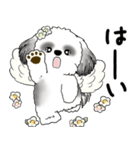 B＆W シーズー犬 2025 「天使ちゃん」（個別スタンプ：19）