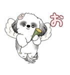 B＆W シーズー犬 2025 「天使ちゃん」（個別スタンプ：24）