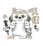 B＆W シーズー犬 2025 「天使ちゃん」（個別スタンプ：30）