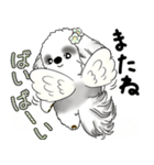 B＆W シーズー犬 2025 「天使ちゃん」（個別スタンプ：31）