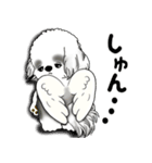 B＆W シーズー犬 2025 「天使ちゃん」（個別スタンプ：35）