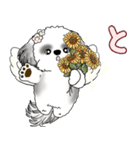 B＆W シーズー犬 2025 「天使ちゃん」（個別スタンプ：36）