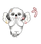 B＆W シーズー犬 2025 「天使ちゃん」（個別スタンプ：40）