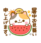 ねこねこにゃんこ♡夏の気遣い（個別スタンプ：1）