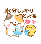 ねこねこにゃんこ♡夏の気遣い（個別スタンプ：6）