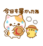 ねこねこにゃんこ♡夏の気遣い（個別スタンプ：8）