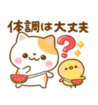 ねこねこにゃんこ♡夏の気遣い（個別スタンプ：9）