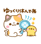 ねこねこにゃんこ♡夏の気遣い（個別スタンプ：11）
