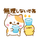 ねこねこにゃんこ♡夏の気遣い（個別スタンプ：12）