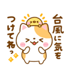 ねこねこにゃんこ♡夏の気遣い（個別スタンプ：21）