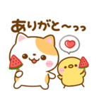 ねこねこにゃんこ♡夏の気遣い（個別スタンプ：24）