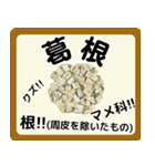 生薬スタンプ -薬学生-（個別スタンプ：2）