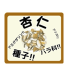 生薬スタンプ -薬学生-（個別スタンプ：3）