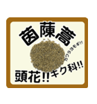 生薬スタンプ -薬学生-（個別スタンプ：6）