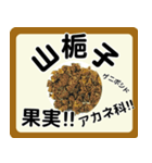 生薬スタンプ -薬学生-（個別スタンプ：9）