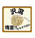 生薬スタンプ -薬学生-（個別スタンプ：12）
