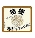 生薬スタンプ -薬学生-（個別スタンプ：13）