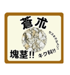 生薬スタンプ -薬学生-（個別スタンプ：14）